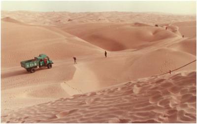 Ecologic Service, Economic Benefits, and Sustainability of the Man-Made Ecosystem in the Taklamakan Desert